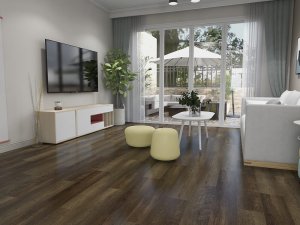 Dishoverflooring SPC flooring df-sw-521-1