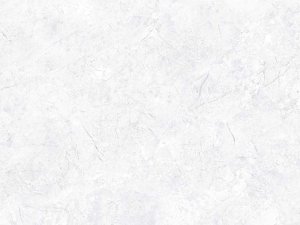 Dishoverflooring SPC flooring df-ss-824-1